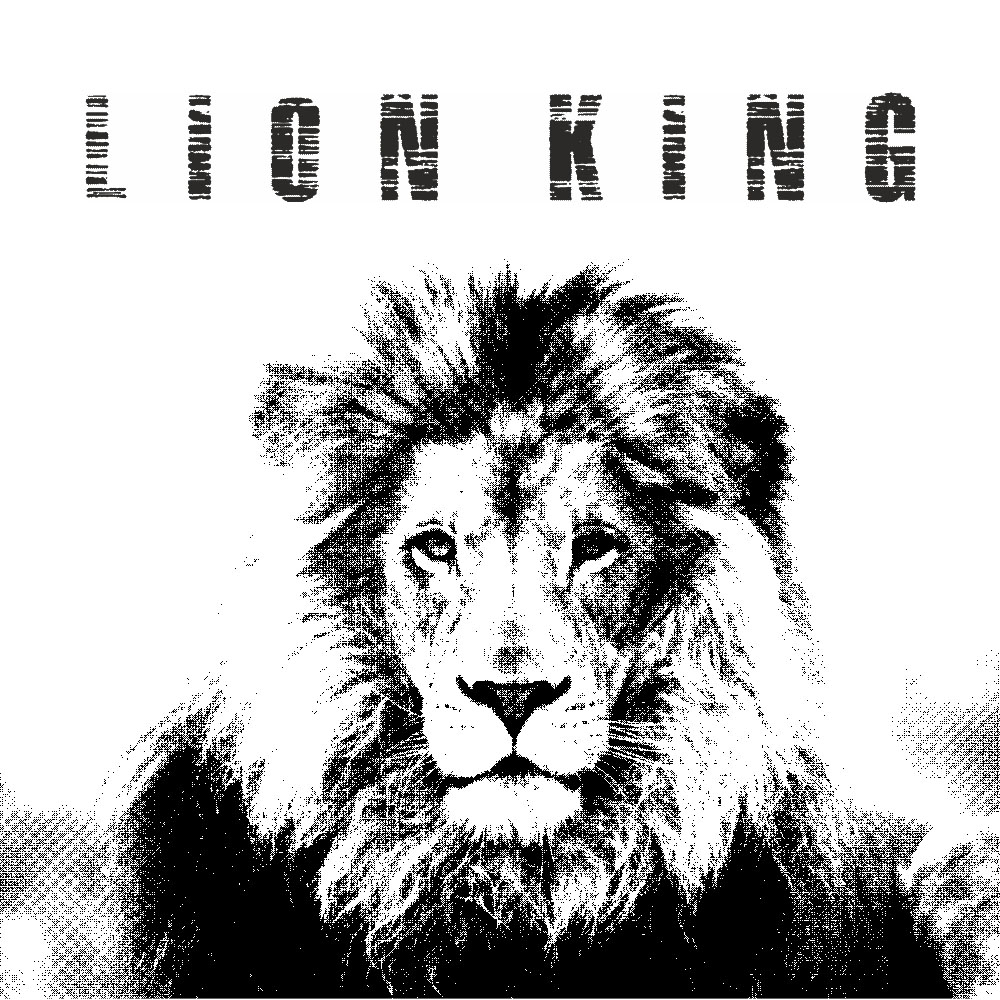 lion lion
